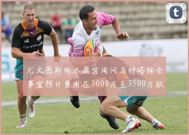 尤文图斯向水晶宫询问马特塔转会事宜预计费用在3000万至3500万欧元之间