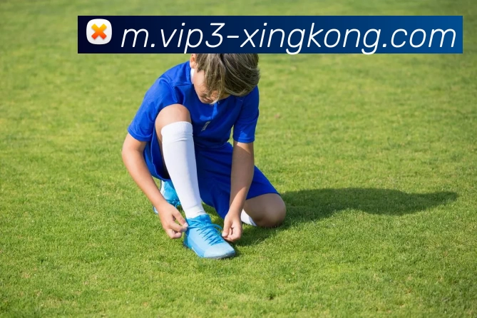 星空体育发展历程